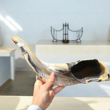 Erstaunlicher Widder Horn Schofar koscher natürlich 10 Zoll - 11 Zoll...