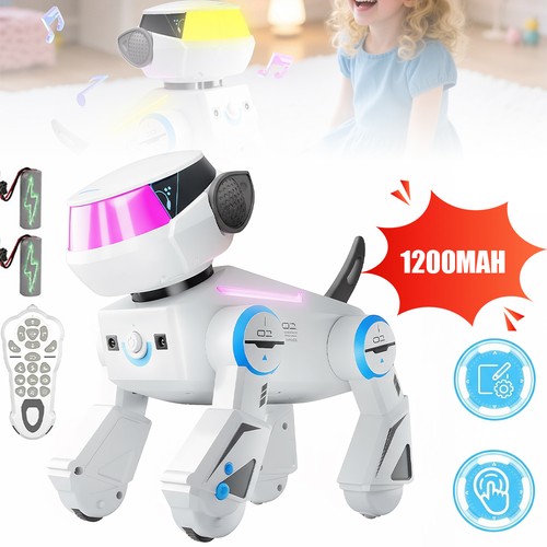 Roboter hund - rc,