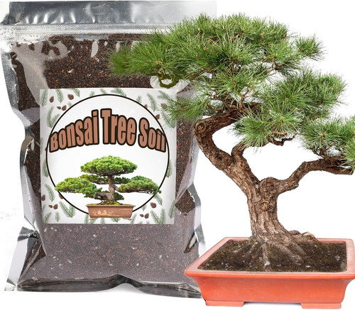 Bonsai-Erde-Mischung