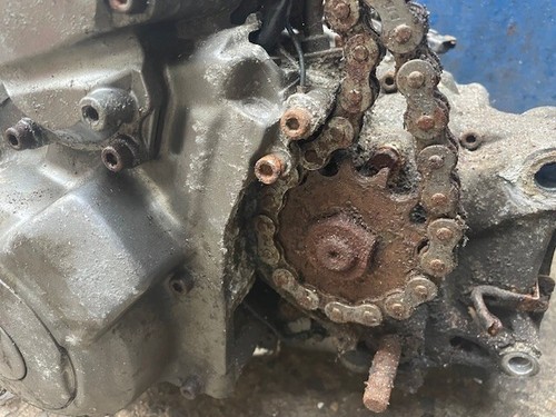 Baghira 660 - mz,