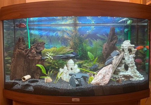 Aquarium juwel vision 180 - aquarium,
