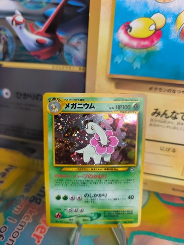 Pokemon karte card meganium - karte,