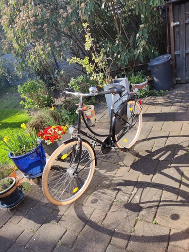 Stylisches hollandrad den haag - stylisches,