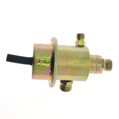 Fuel pressure regulator for - fuel,