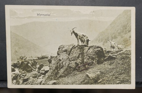 Feldpost wormsatal 1918 - feldpost,