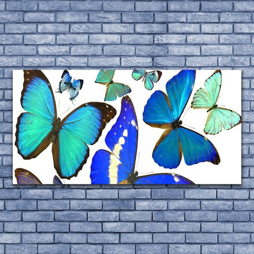Glasbilder wandbild druck auf - glasbilder,
