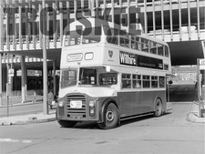 Größeres Negativ Colchester