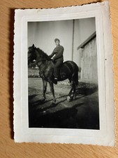 Foto 2.WK WW2 Soldat mit Pferd 1944 Wehrmacht original Uniform WH