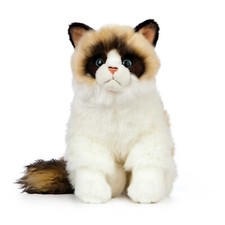 Ragdoll-Katze Plüschtier