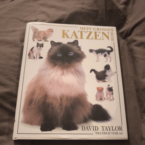 David taylor mein grosses - taylor,