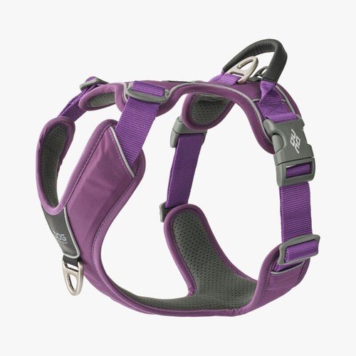 Dog copenhagen comfort - comfort, walk