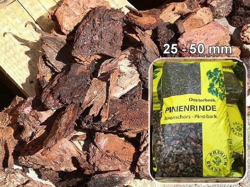 Französische pinienrinde - französische,