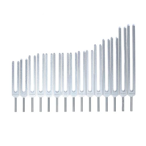 Stimmgabel set menschliche - stimmgabel-set,