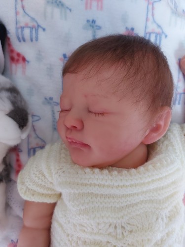 Reborn baby dallas von dawn - reborn,