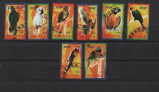 Rawanda Sittiche Papageien (6a)