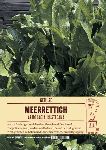 Meerrettich armoracia - meerrettich,,