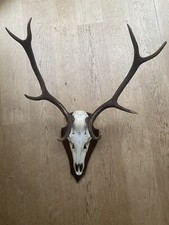 altes und gut erhaltenes