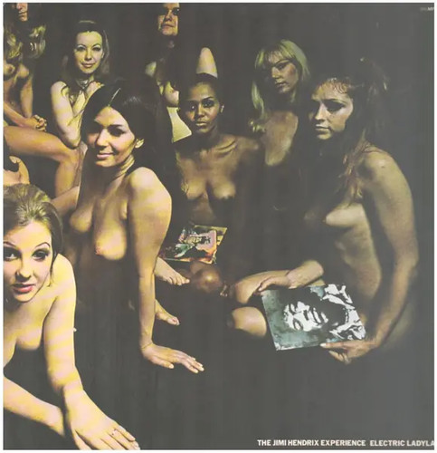 The jimi hendrix experience - the,