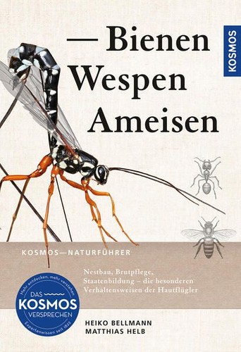 Bienen wespen ameisen - bienen,,