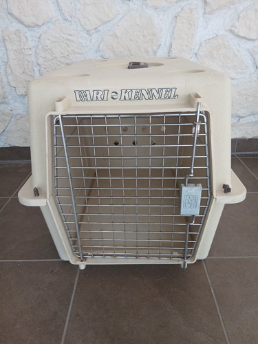 Hunde transport auto - hunde, transport/auto/flugbox