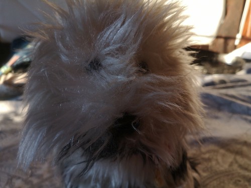 Stofftier hund hermann - stofftier,
