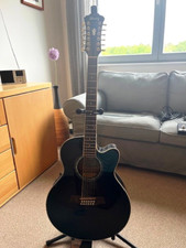 12 seitige Gitarre der Firma "Ibanez" mit Stimmgerät und E-Anschluß