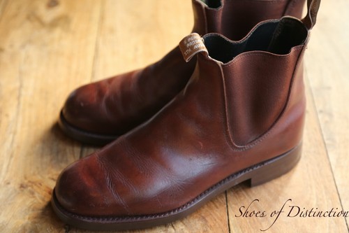 Williams burgundy brown - burgundy,