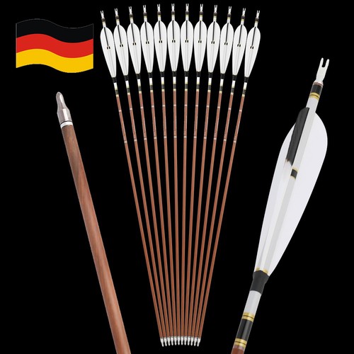 12x reine carbonpfeile - 12x,