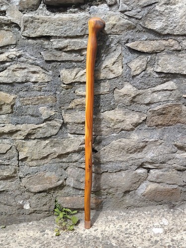 Attraktiver eibe shillelagh - attraktiver,