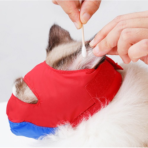 Haustier katze badehaube - haustier,