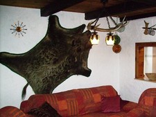 Dekoratives wildschweinfell - dekoratives,