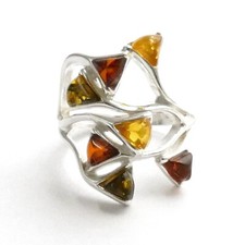 Bernstein Ring Bernsteinring