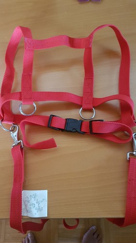 Pferdeleine kinder mit tasche - kinder,