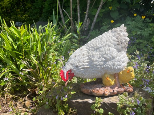 Deko henne küken - henne, huhn