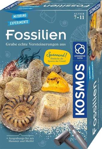 Kosmos 65791 ausgrabungs - 65791,