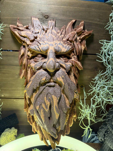 Treebeard skullwood - treebeard, –