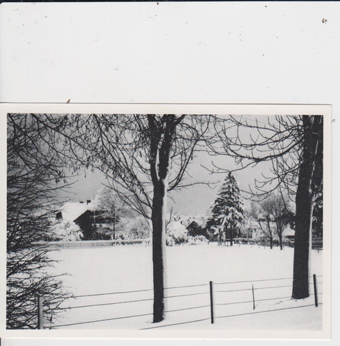 Postkarte repro ostgebiete - ak,