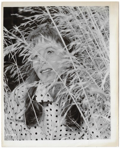 Julie harris east eden - julie,