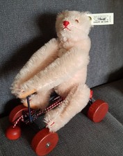 Steiff Record Teddy rose  20cm