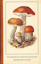 Bickerich-Stoll / Taschenbuch der wichtigsten heimischen Pilze