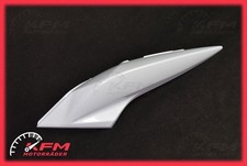 Kawasaki Z750 2010 Verkleidung