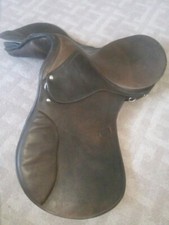 Neuer Spring-Dressur