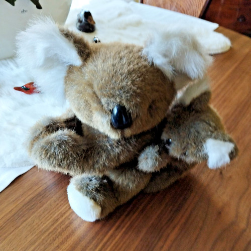 Tchibo tcm koala mama mit - tcm,