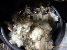 Schafwolle, Rohwolle