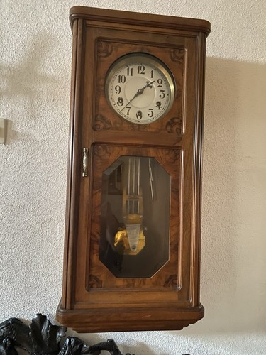Sehr schöne würzelnuss - sehr,