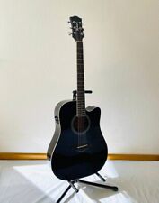 Akustik Gitarre elektrische