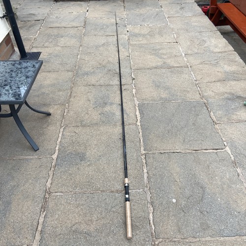 Weltklasse 12ft 8tlg carbon - 12ft,