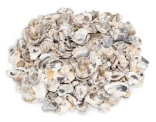 NaDeco Kleine Austernschalen