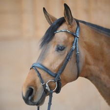 % Kavalkade Trense IVETTE