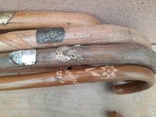 Wanderstöcke-7 Stück mit Stocknägelabzeichen, ungereinigt